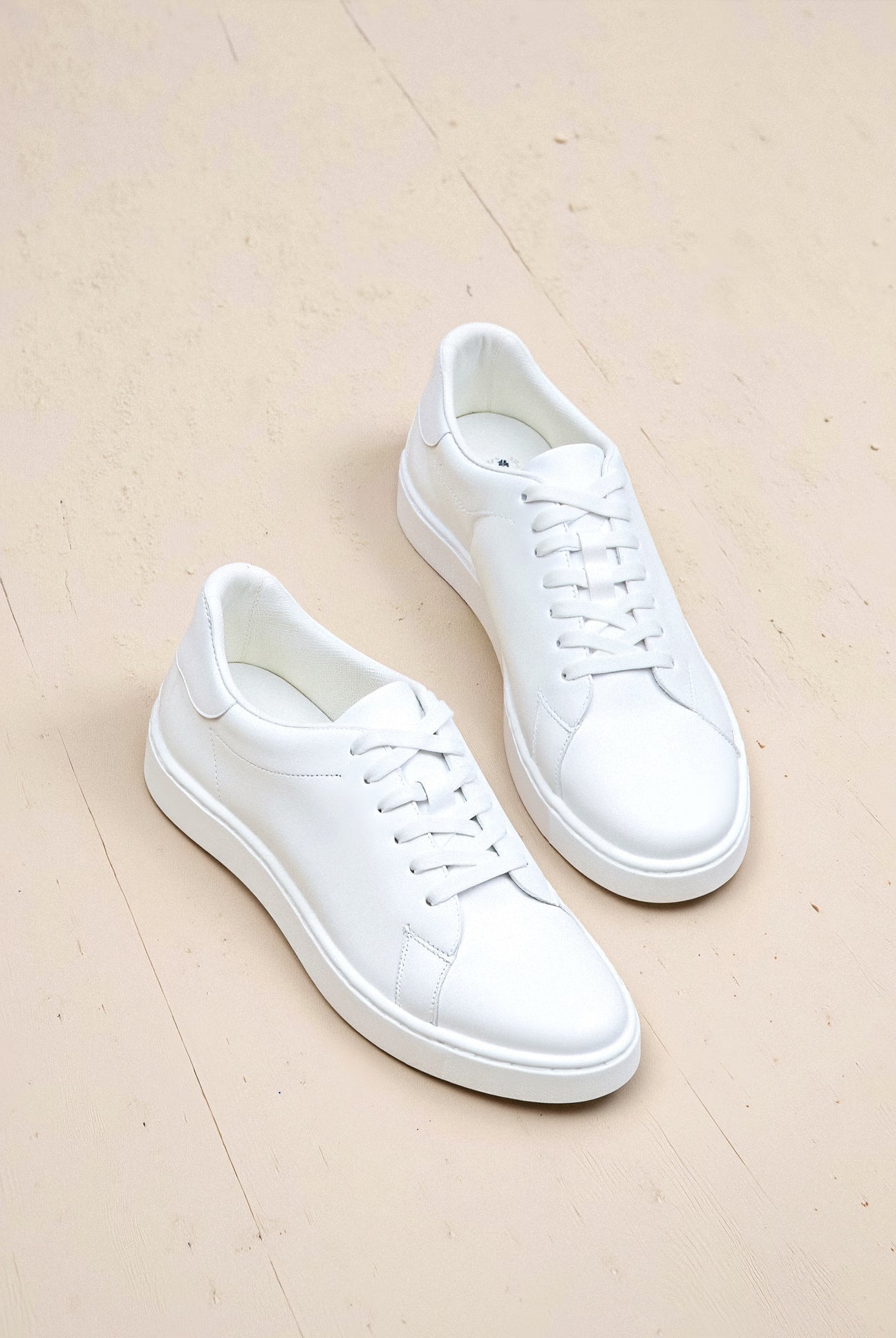 Alexander Classic Sneaker