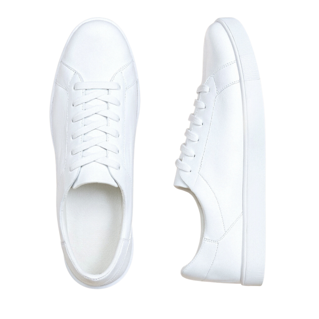 Alexander Classic Sneaker